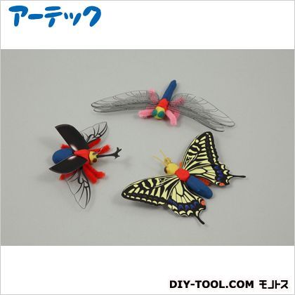 こん虫のからだつくり 94707 1