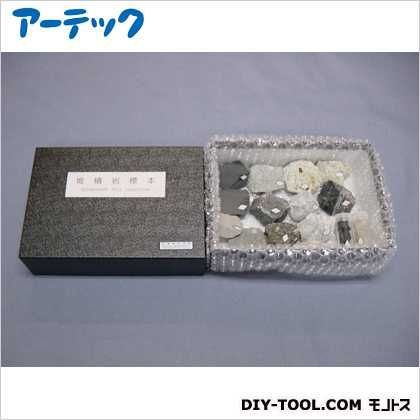 実習用堆積岩標本10種 98658 1