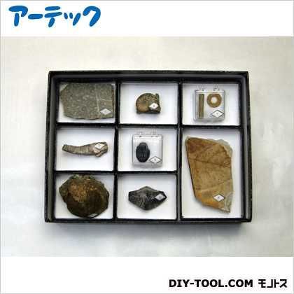 実習用化石セット8種 98659 1