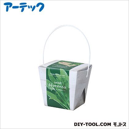 ベジコンテナサラダホウレンソウ 102946 1