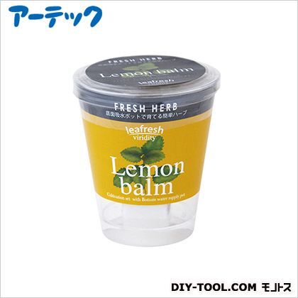 フレッシュベジハーブレモンバーム 102953 1