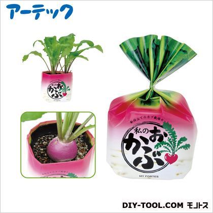 私のおかぶ 102956 1