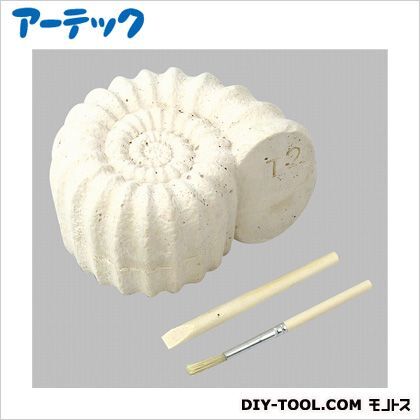 化石発掘キット 56818 1
