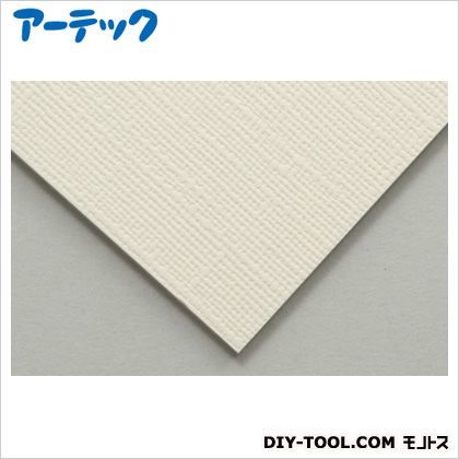 キャンバスボードSXF10 1