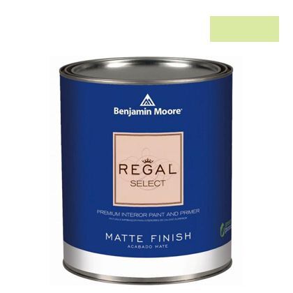 リーガルセレクトマット艶消しエコ水性塗料 neon 1L Q221-402 1