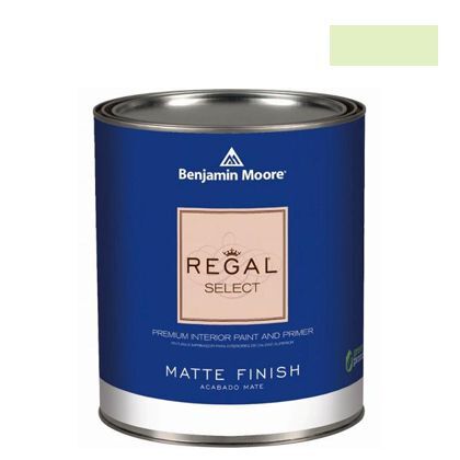 リーガルセレクトマット艶消しエコ水性塗料 light green 1L Q221-408 1