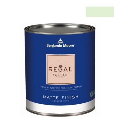 リーガルセレクトマット艶消しエコ水性塗料 mint julep 1L Q221-547 1