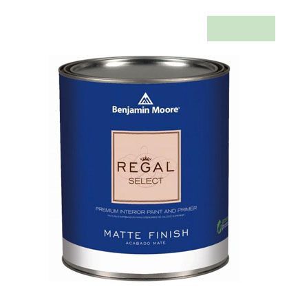 リーガルセレクトマット艶消しエコ水性塗料 pistachio 1L Q221-561 1