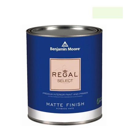 リーガルセレクトマット艶消しエコ水性塗料 lime froth 4L G221-2031-70 1