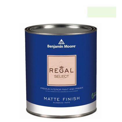 リーガルセレクトマット艶消しエコ水性塗料 iced mint 1L Q221-2030-70 1