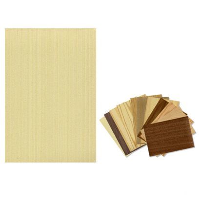 樹のシート粘着シールタイプ バ-チホワイト 600mm×900mm S-021 1