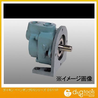 DS11P-20