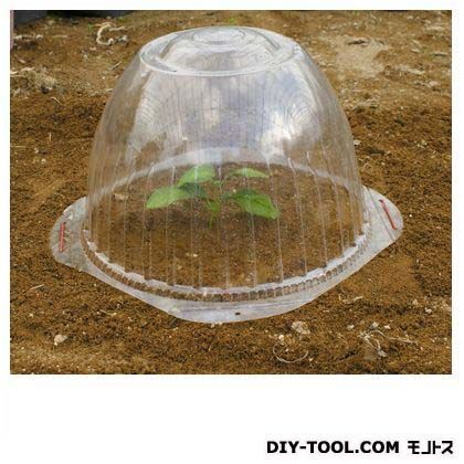 苗ドーム 大 1個