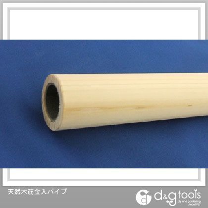 19×600