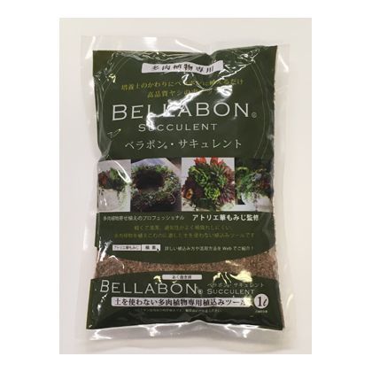 ベラボン サキュレント 1L 1