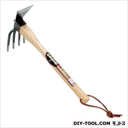 ホーレーキイカガタ 1