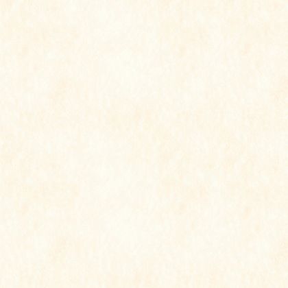 浴室・水廻り用 壁面パネル アルパレージ ホワイト 910×2450mm AP2NEH 1枚