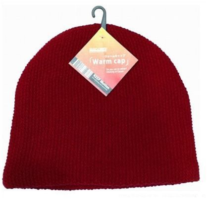 AG-67サーマル生地ワッチ帽 エンジ 172998 1