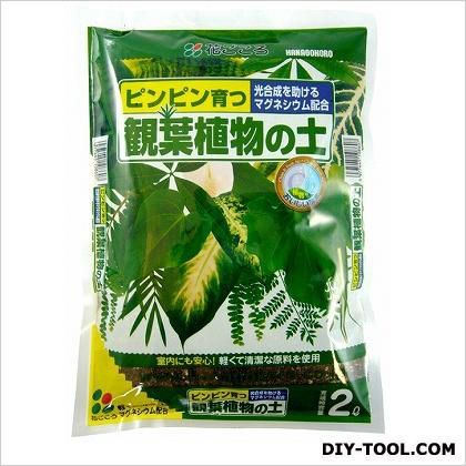 観葉植物の土 2L 1