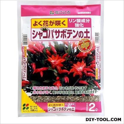 シャコバサボテンの土 2L 1