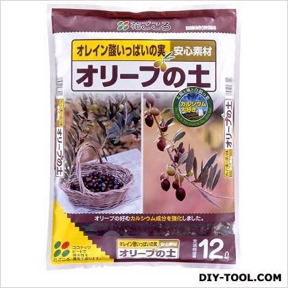 オリーブの土
