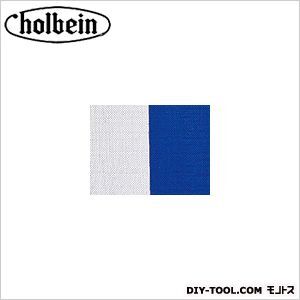 シック張りキャンバス中荒目Fー0