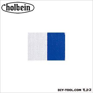 シック張りキャンバス中目SM