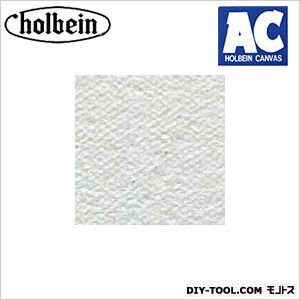 AC張りキャンバスF-10 1