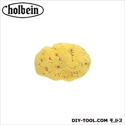 天然海綿No.6細目14×15cm 1