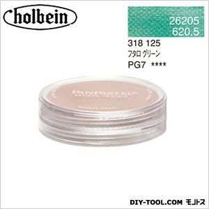 パンパステル26205フタログリーン 9ml 1