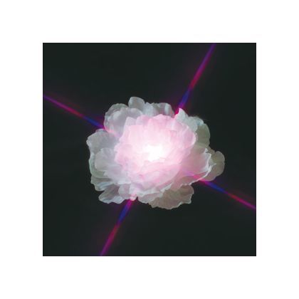 LEDフロート(電池式) STM-W01W 1点