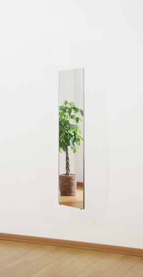 みだしなみミラー 20×90 RM-40-S 1