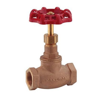 グローブバルブ 653-005-13 1点