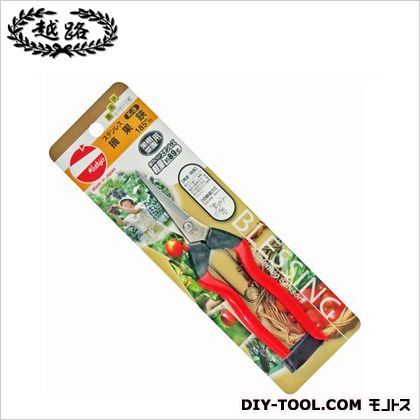 ステンレス摘果鋏 255 K-9 1点