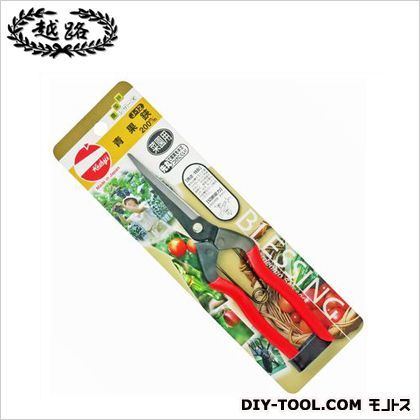 青果鋏 255 J-12 1点