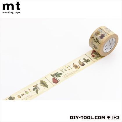 mtex図鑑・植物 奥行4.8×幅4.8×高さ3cm MTEX1P34 1