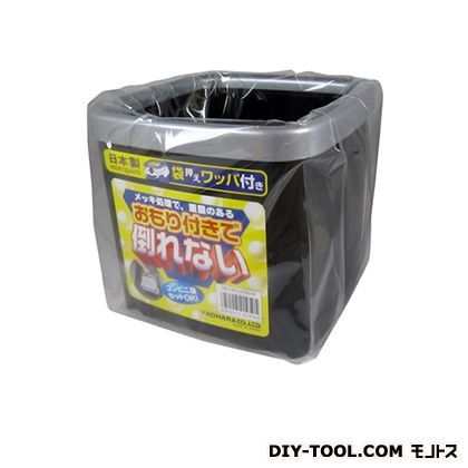 角型フタナシダスト