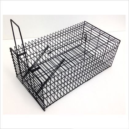 ネズミ捕り角型