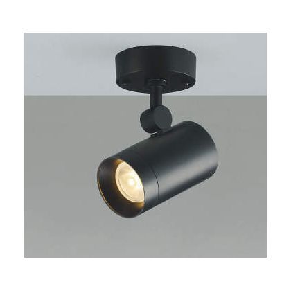 LEDスポットライト AS38231L 1