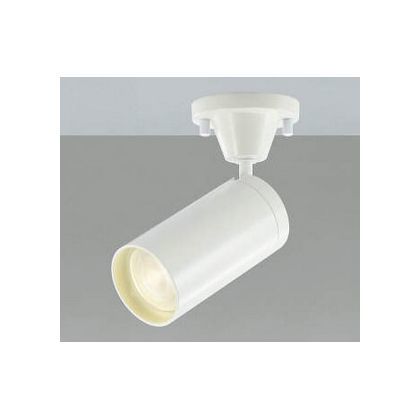 LEDスポットライト AS43955L 1