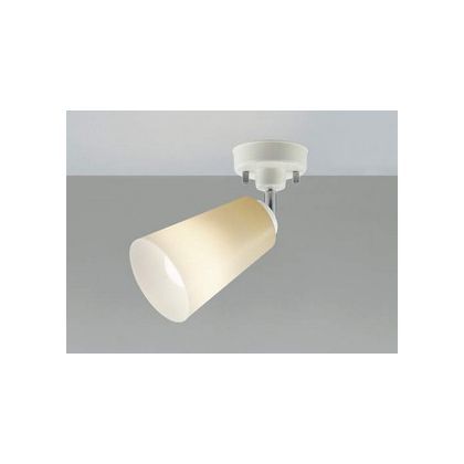 LEDスポットライト AS40366L 1