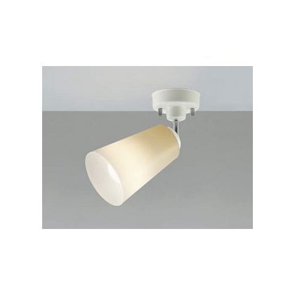 LEDスポットライト AS40369L 1