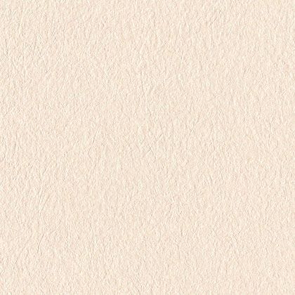 壁紙(クロス)のりなしタイプ 1mカット販売 LL8221 1