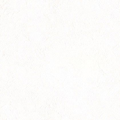 壁紙(クロス)のりなしタイプ 1mカット販売 LL8635 1