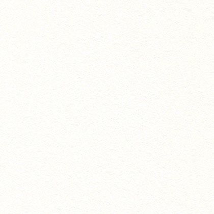 壁紙(クロス)のりなしタイプ 1mカット販売 LL8842 1