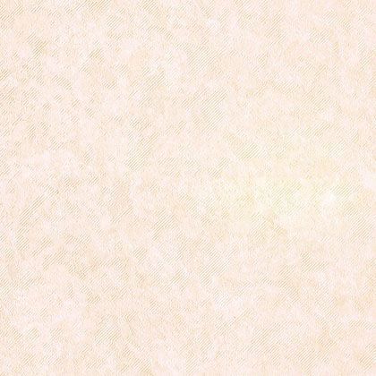 壁紙(クロス)のりなしタイプ 1mカット販売 LL8872 1