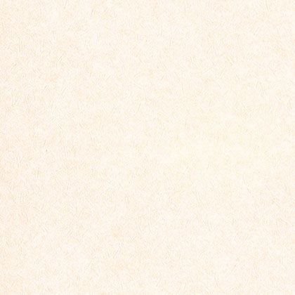 壁紙(クロス)のりなしタイプ 1mカット販売 LL8873 1