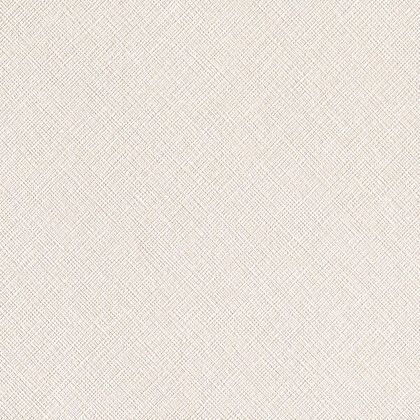 クロス(will 2017-2020) のりなしタイプ 1mカット販売 LW2111 1