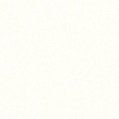 クロス(will 2017-2020) のりなしタイプ 1mカット販売 LW2235 1