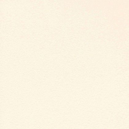 クロス(will 2017-2020) のりなしタイプ 1mカット販売 LW2238 1